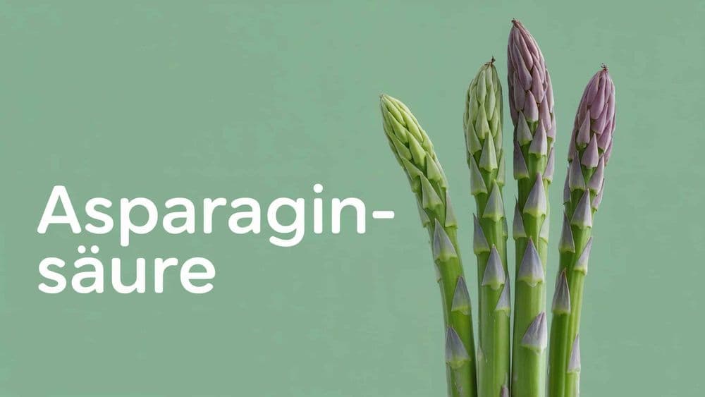 Asparaginsäure