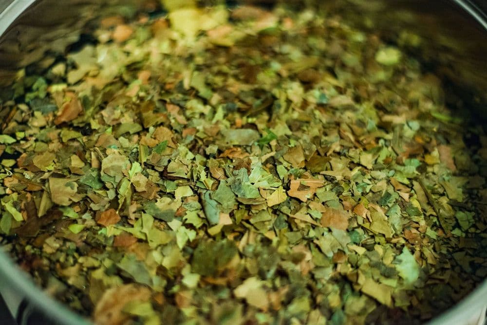Guayusa-Tee
