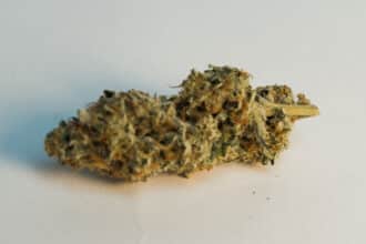CBD Blüten