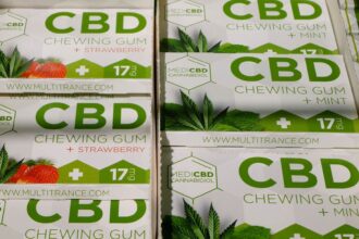 CBD Kaugummi