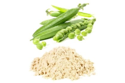 Erbsenprotein Pulver