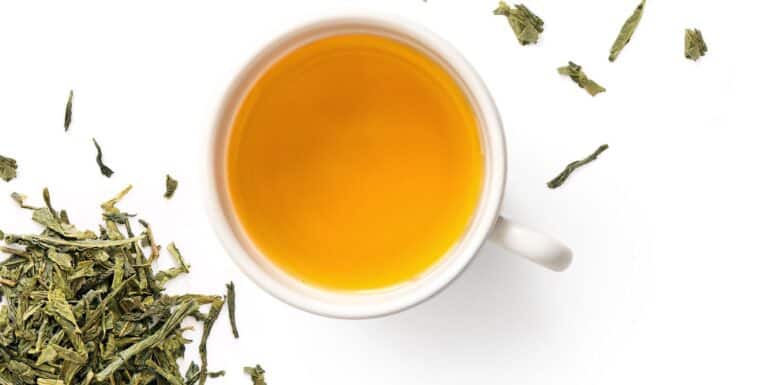 Sencha Tee