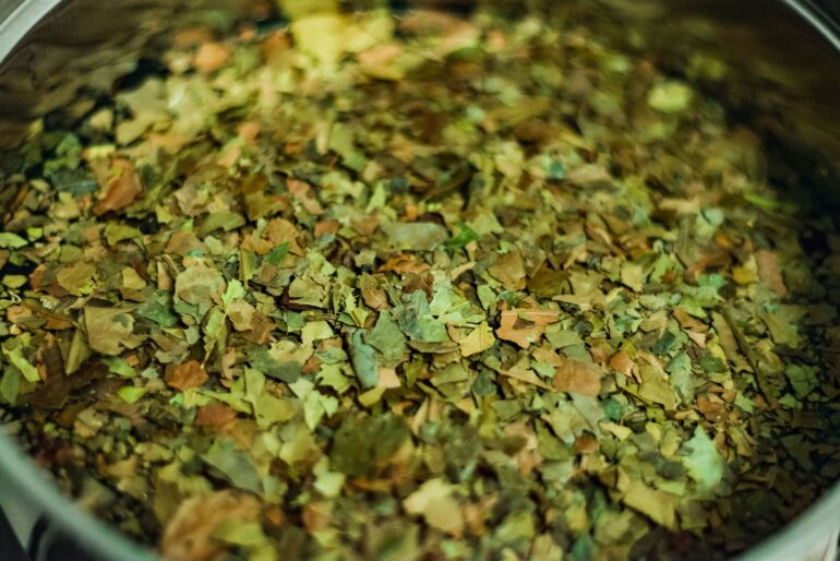 Guayusa-Tee